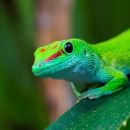 Larissa van Aarle portrait